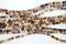 Matte Brown Zebra Jasper Gemstone Beads, 6mm, Round